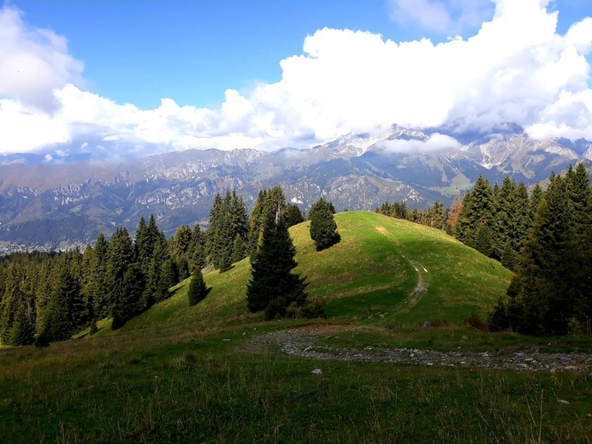 181 - Casa Arcobaleno Tra Le Alpi, Piste Da Sci A 15 Minuti Apartman Castione della Presolana Kültér fotó